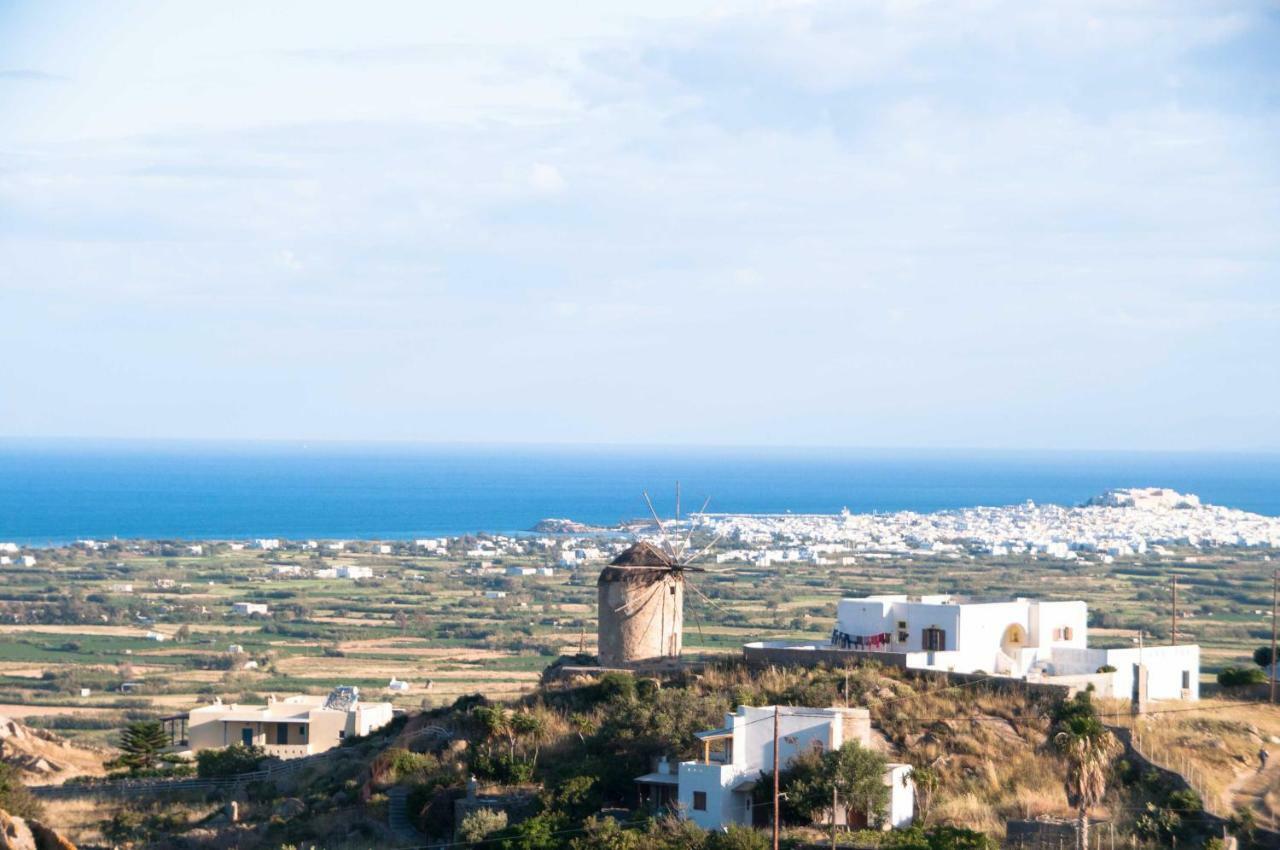 Naxos View Lejlighed Glinado Naxos Eksteriør billede